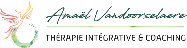 Logo Amaël Vandoorselaere - Thérapie Intégrative & Coaching